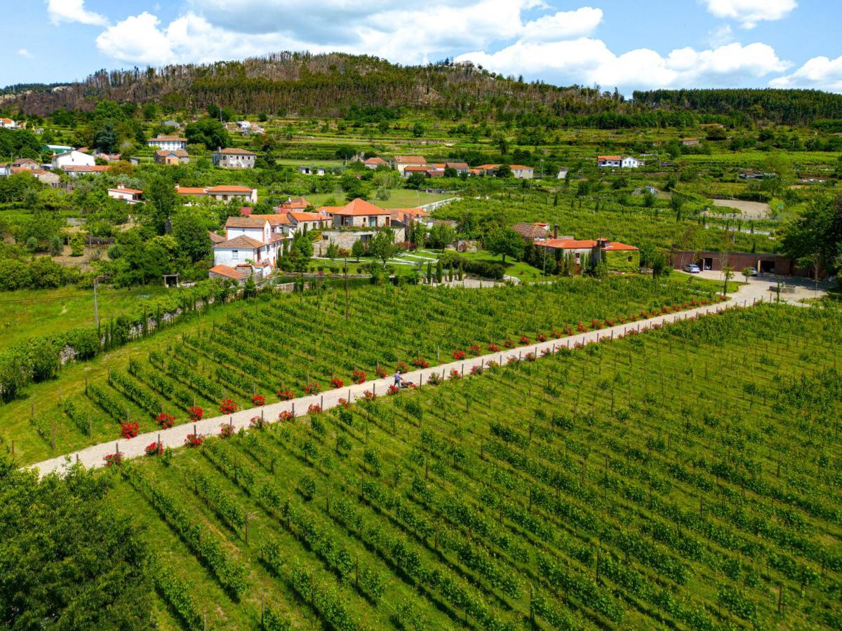 Lavandeira Douro Nature & Wellness Ancede Luaran gambar