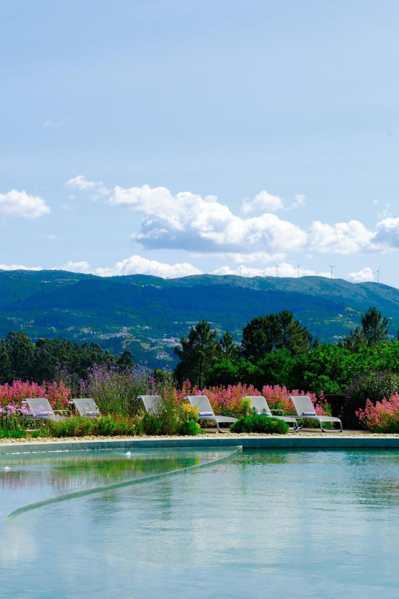 Lavandeira Douro Nature & Wellness Ancede Luaran gambar